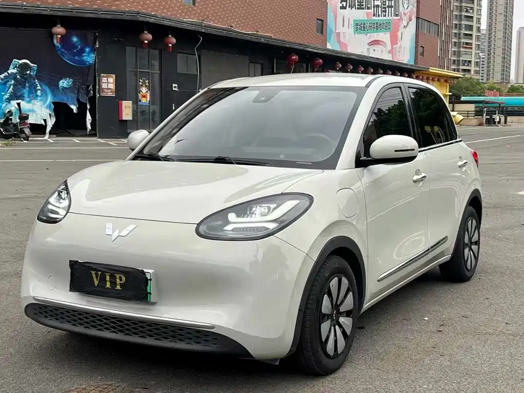 Wuling Binguo