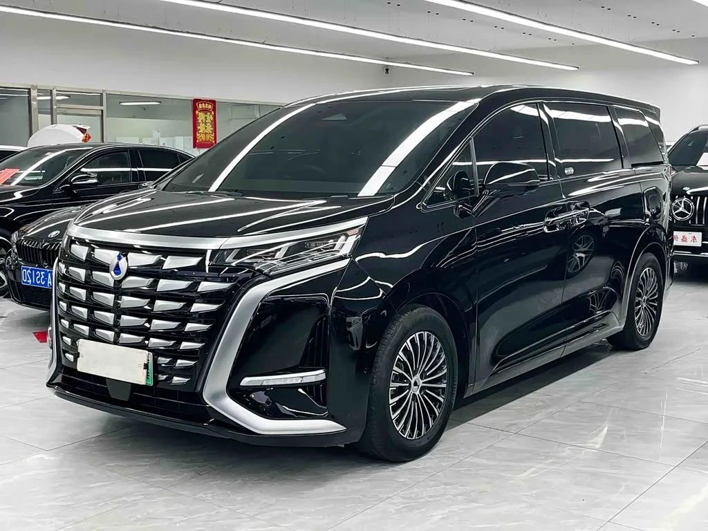 Denza D9