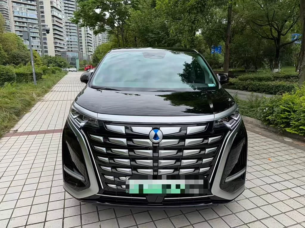 Denza D9