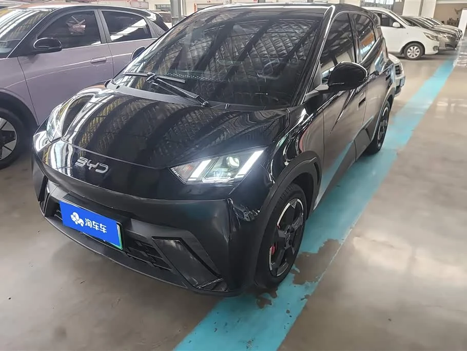 BYD Seagull