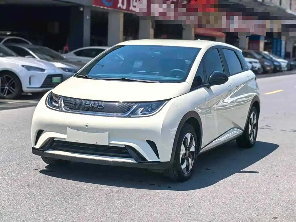 BYD Dolphin