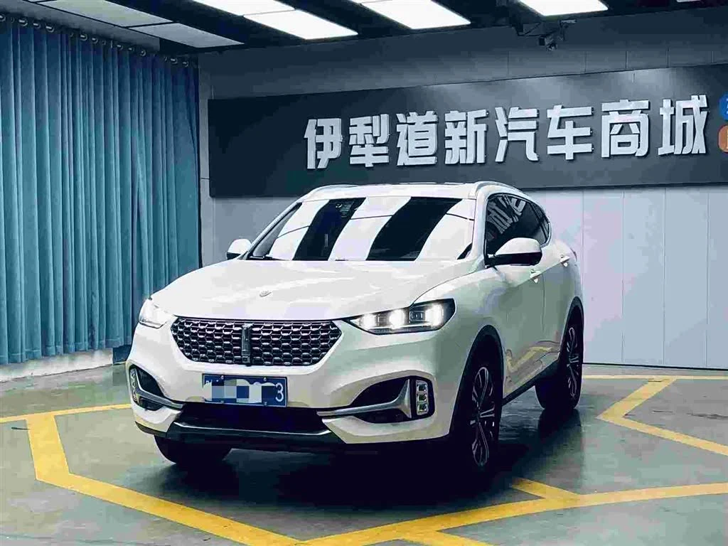 Wey VV6