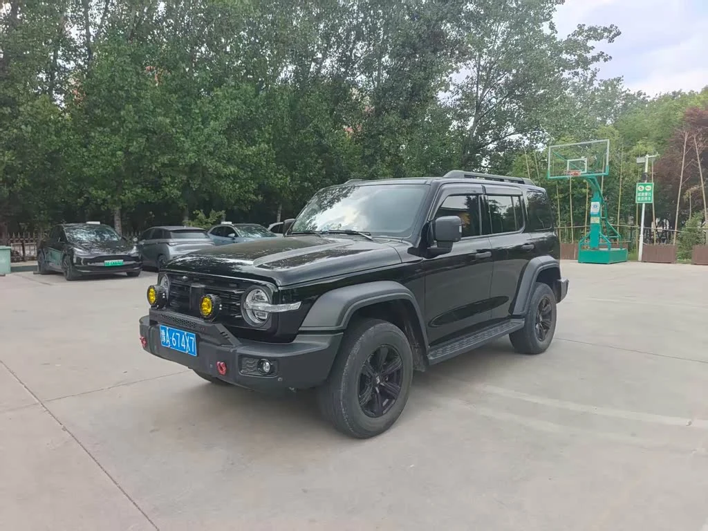 Tank 300