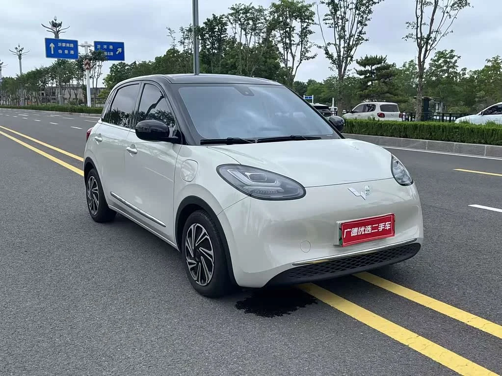 Wuling Binguo
