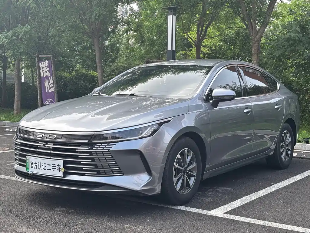 BYD Destroyer 05