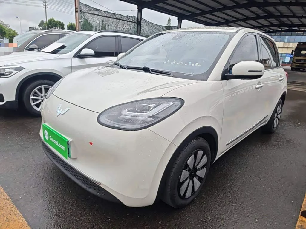 Wuling Binguo