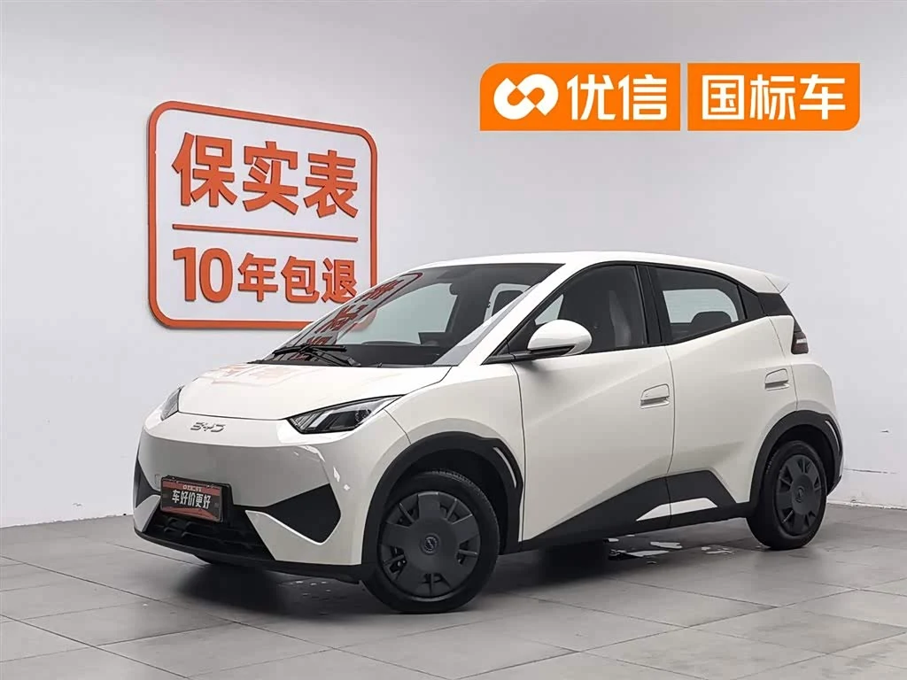 BYD Seagull