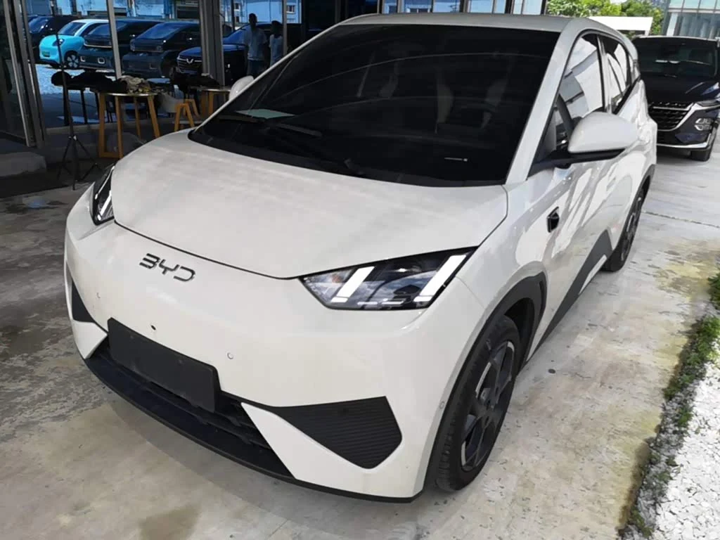 BYD Seagull