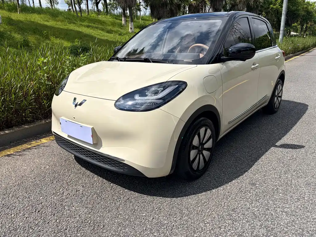 Wuling Binguo