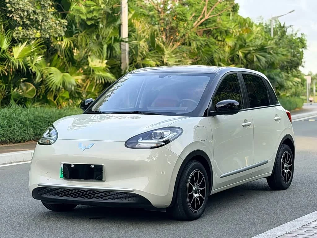 Wuling Binguo