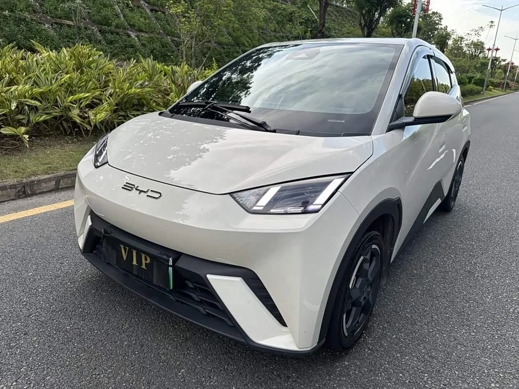 BYD Seagull