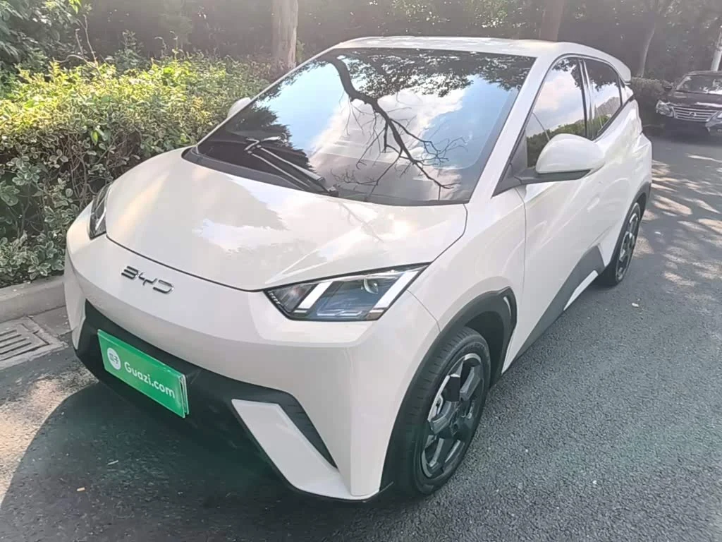 BYD Seagull