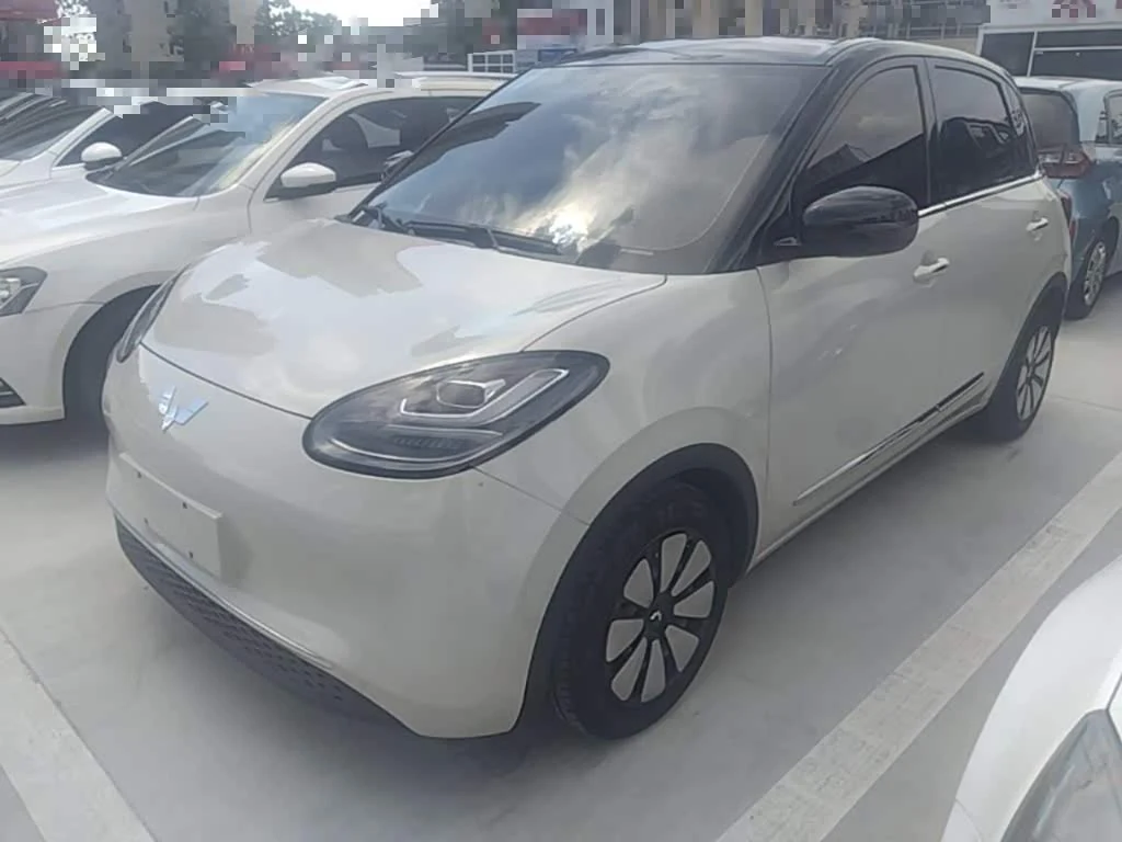 Wuling Binguo