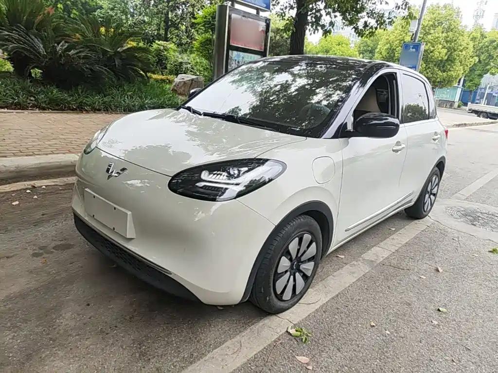 Wuling Binguo