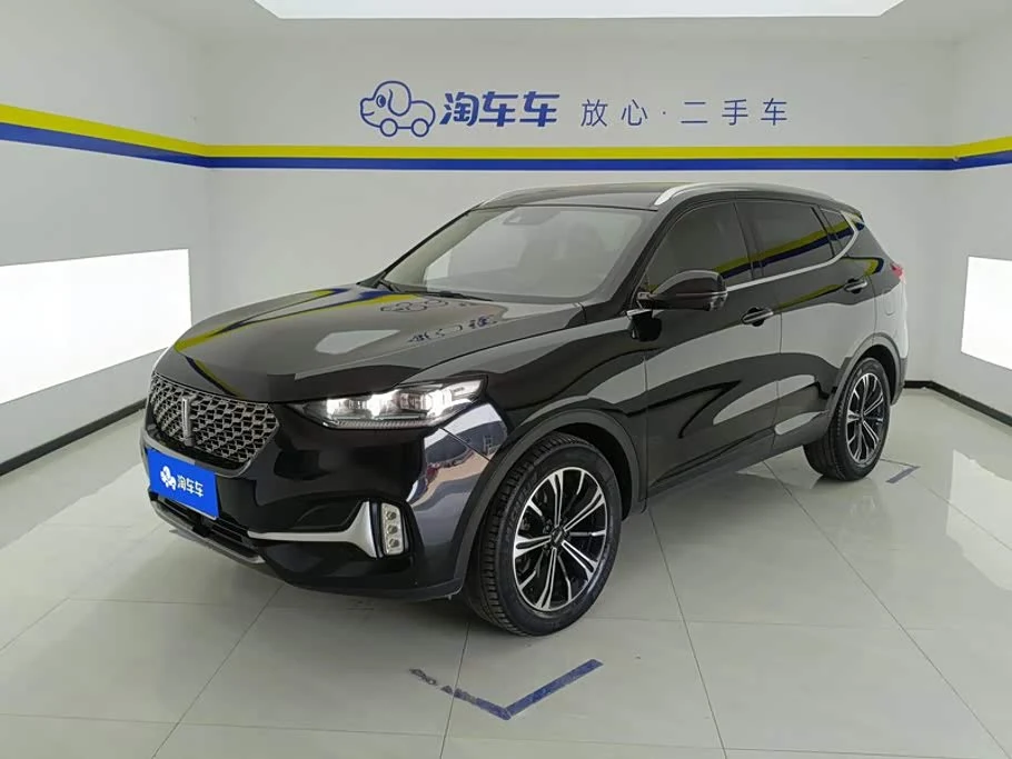 Wey VV6
