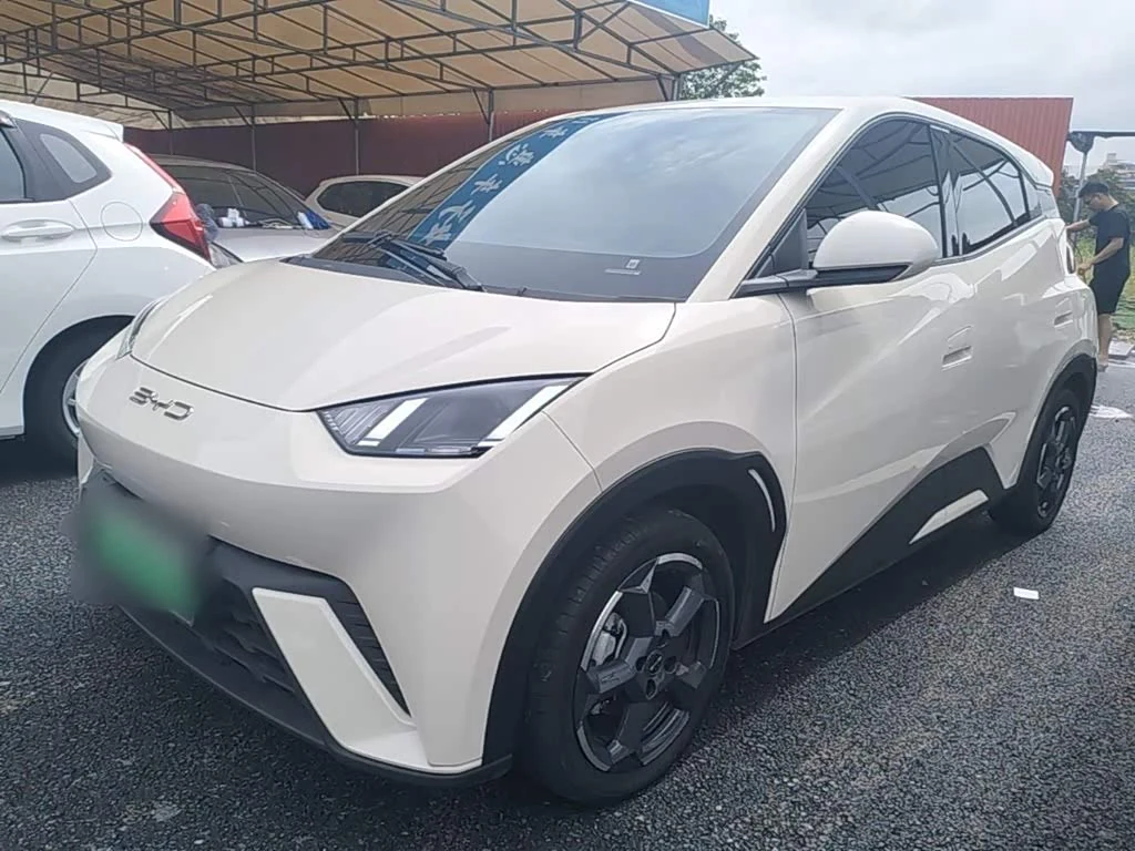 BYD Seagull