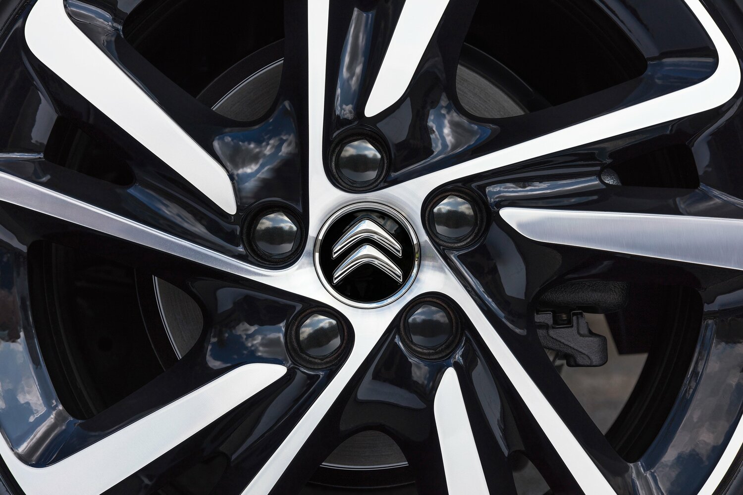 Citroen C4 Picasso — справочные фотографии комплектации, Диск