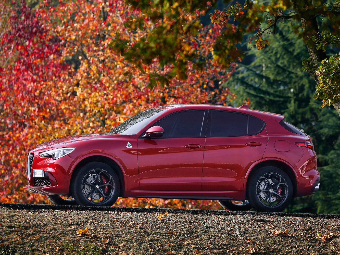 Alfa Romeo Stelvio 2.0 Q4 Package