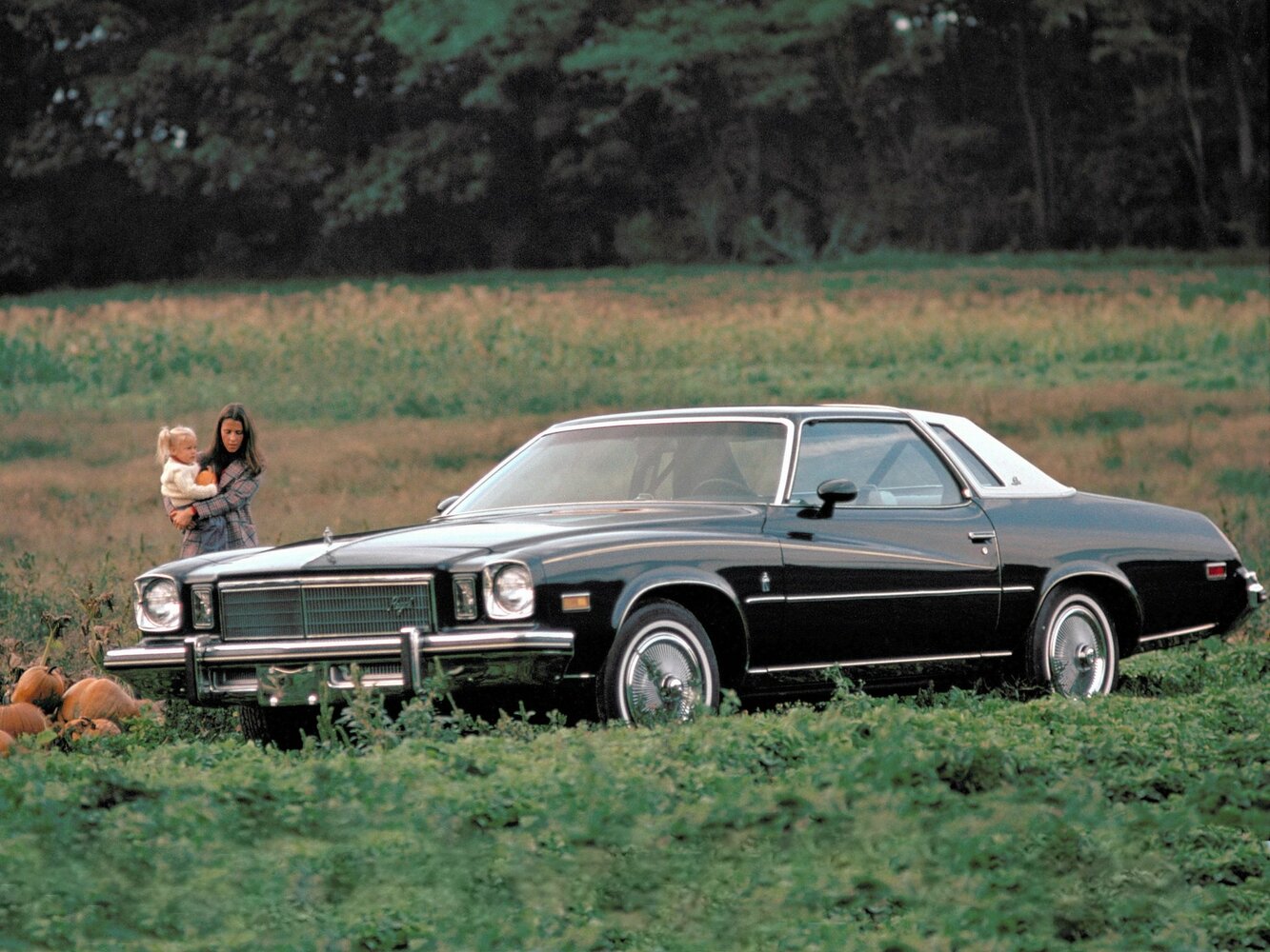 Buick Regal — I поколение (1973–1977)