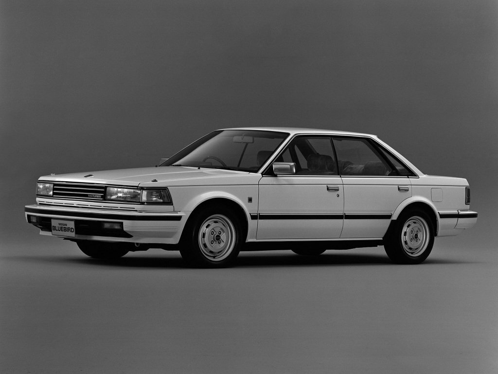 Bluebird Maxima
