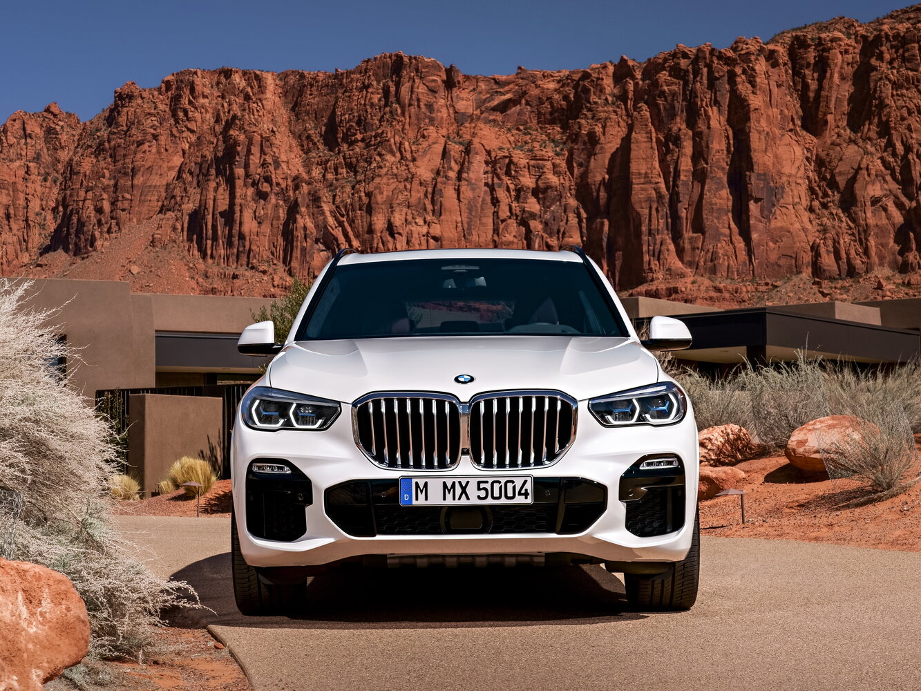 BMW X5 xDrive 30d M Sport