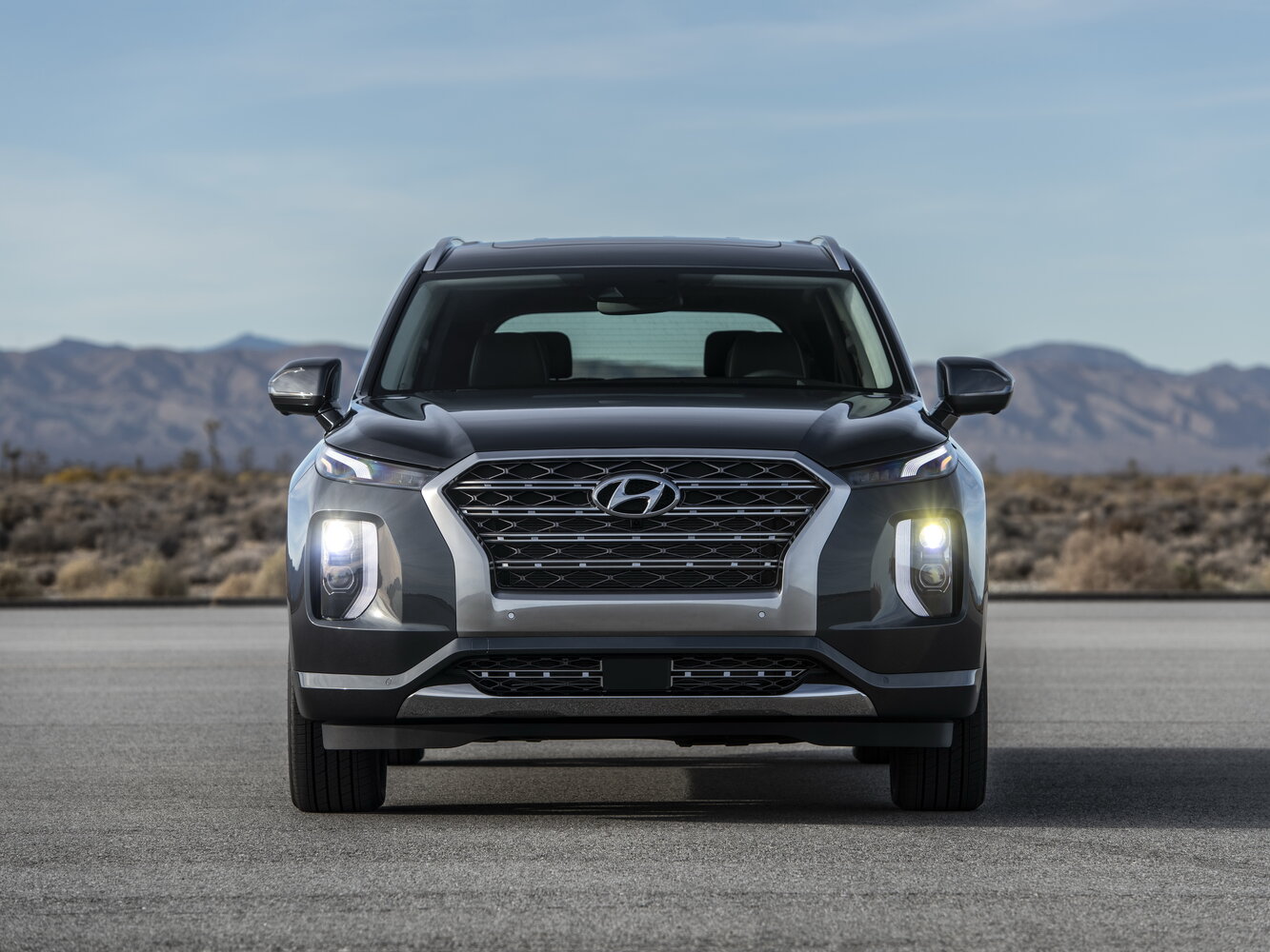 Hyundai Palisade VIP