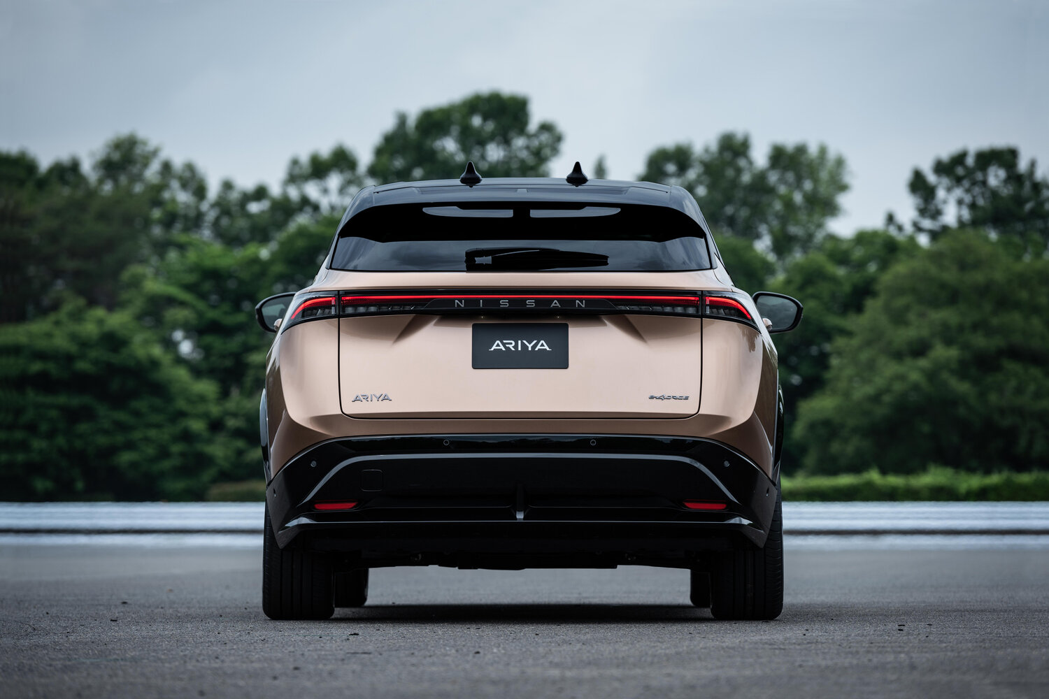 Nissan Ariya B6