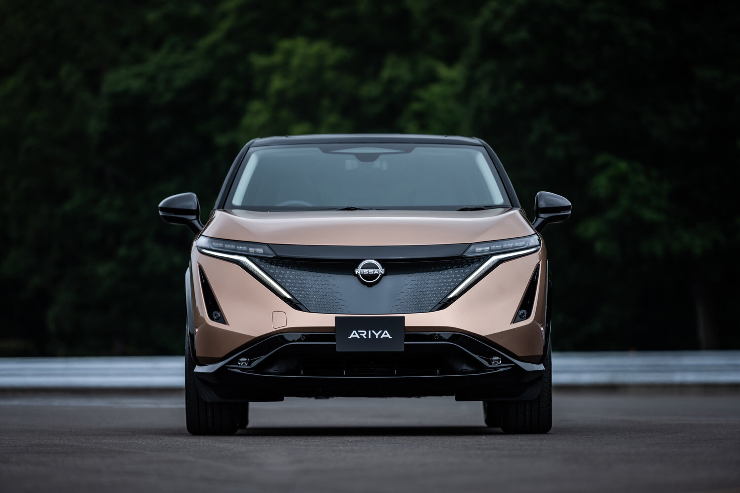 Nissan Ariya B6
