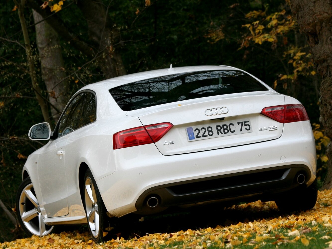Audi A5 8T3