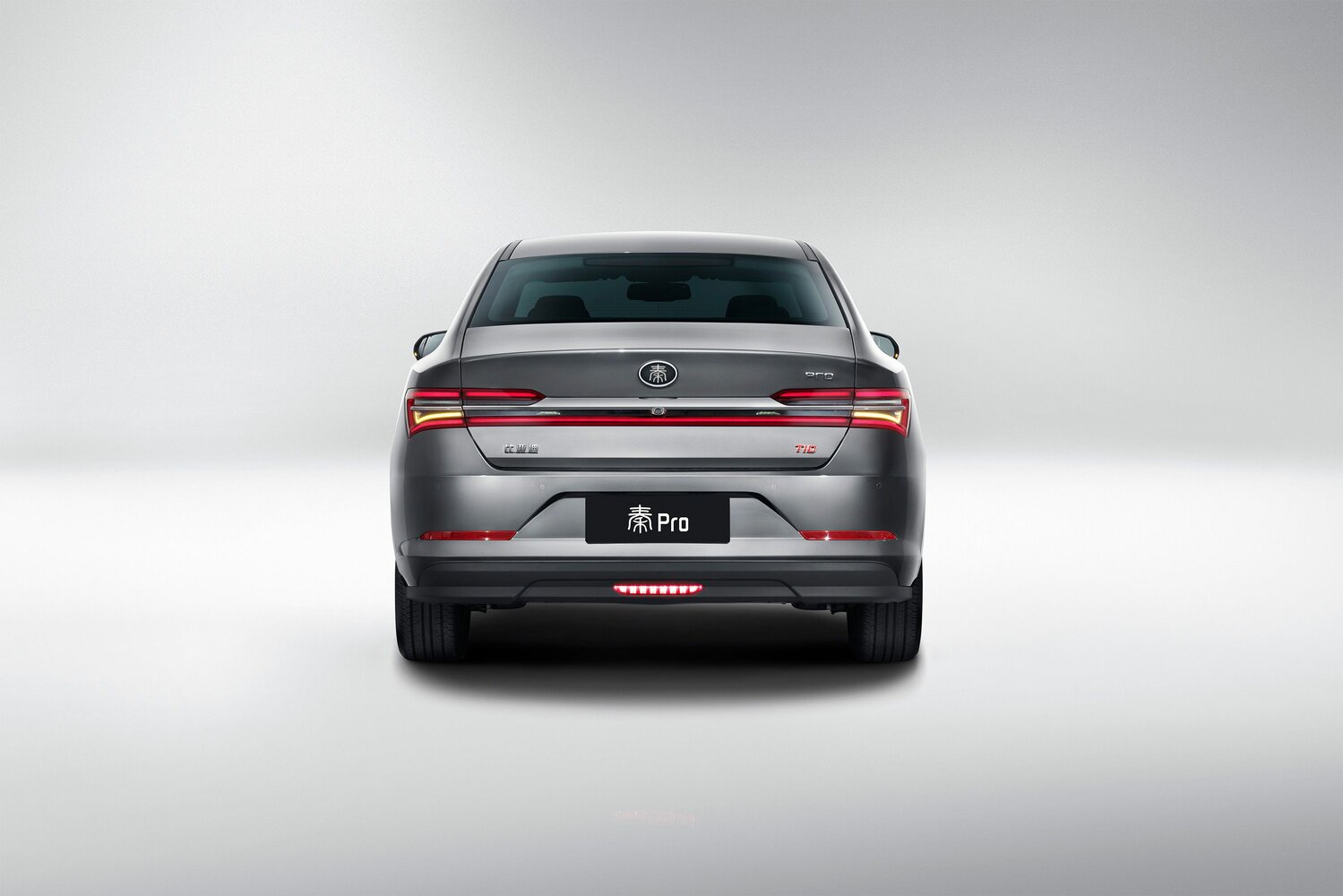 BYD Qin EV 2020 Luxury