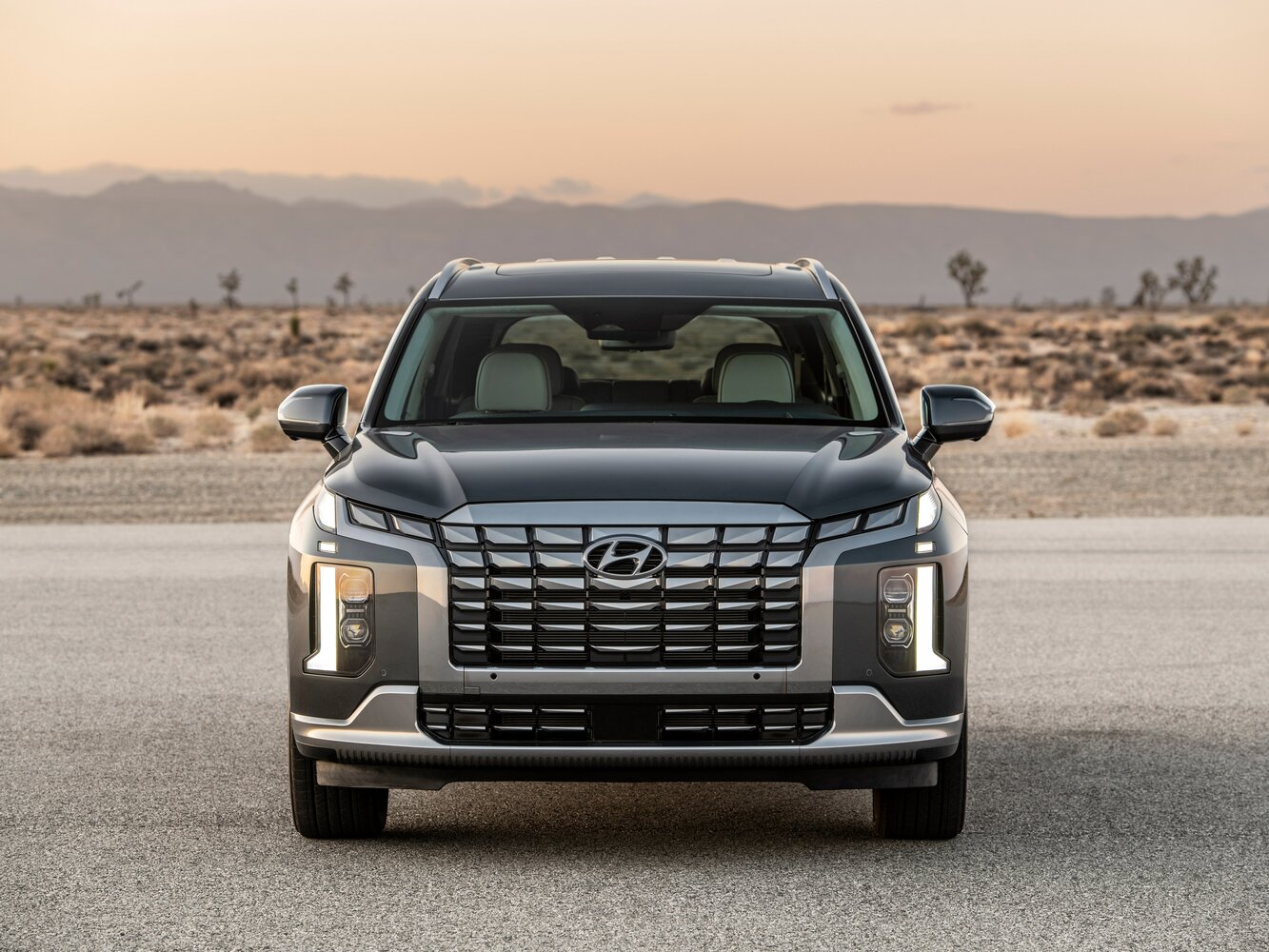 Hyundai Palisade Calligraphy