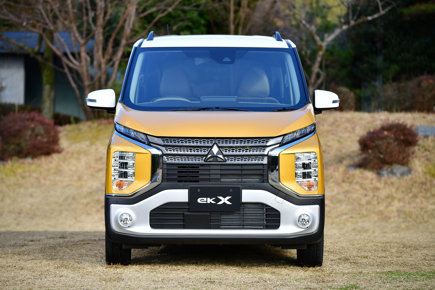 Mitsubishi eK Wagon M