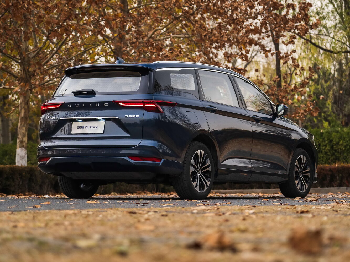 Wuling Victory — справочные фотографии комплектации, Сзади