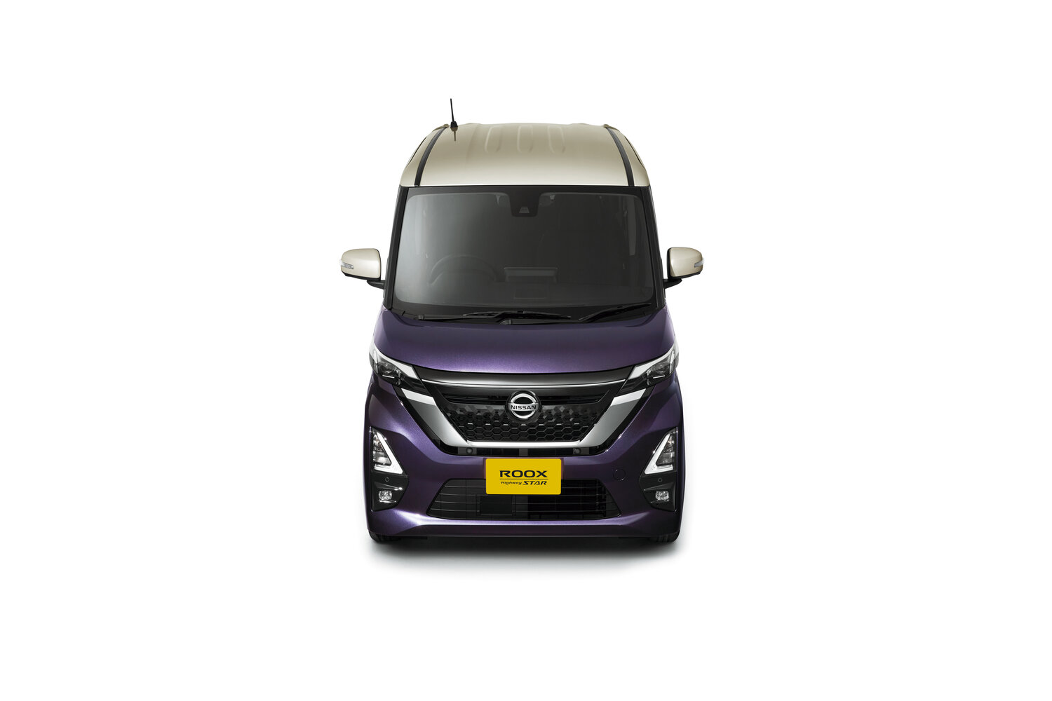Nissan Roox X