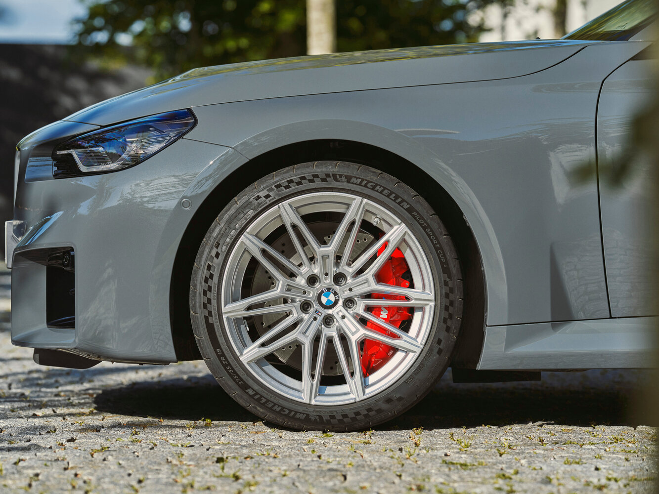 BMW M2 — справочные фотографии комплектации, Диск