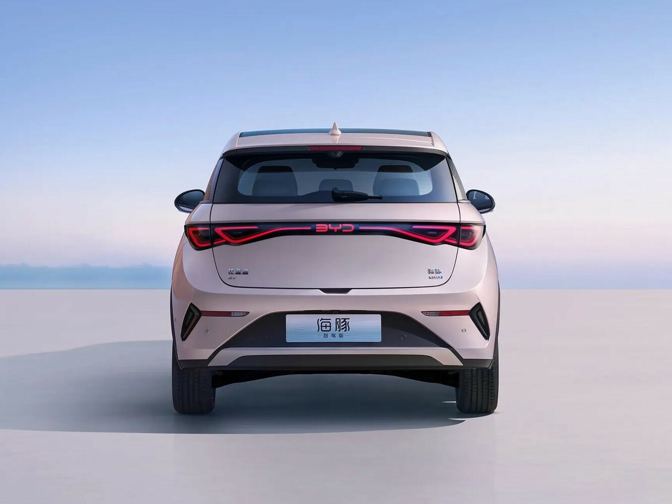 BYD Dolphin — справочные фотографии комплектации, Сзади