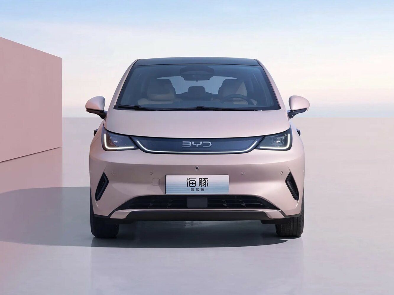 BYD Dolphin — справочные фотографии комплектации, Спереди