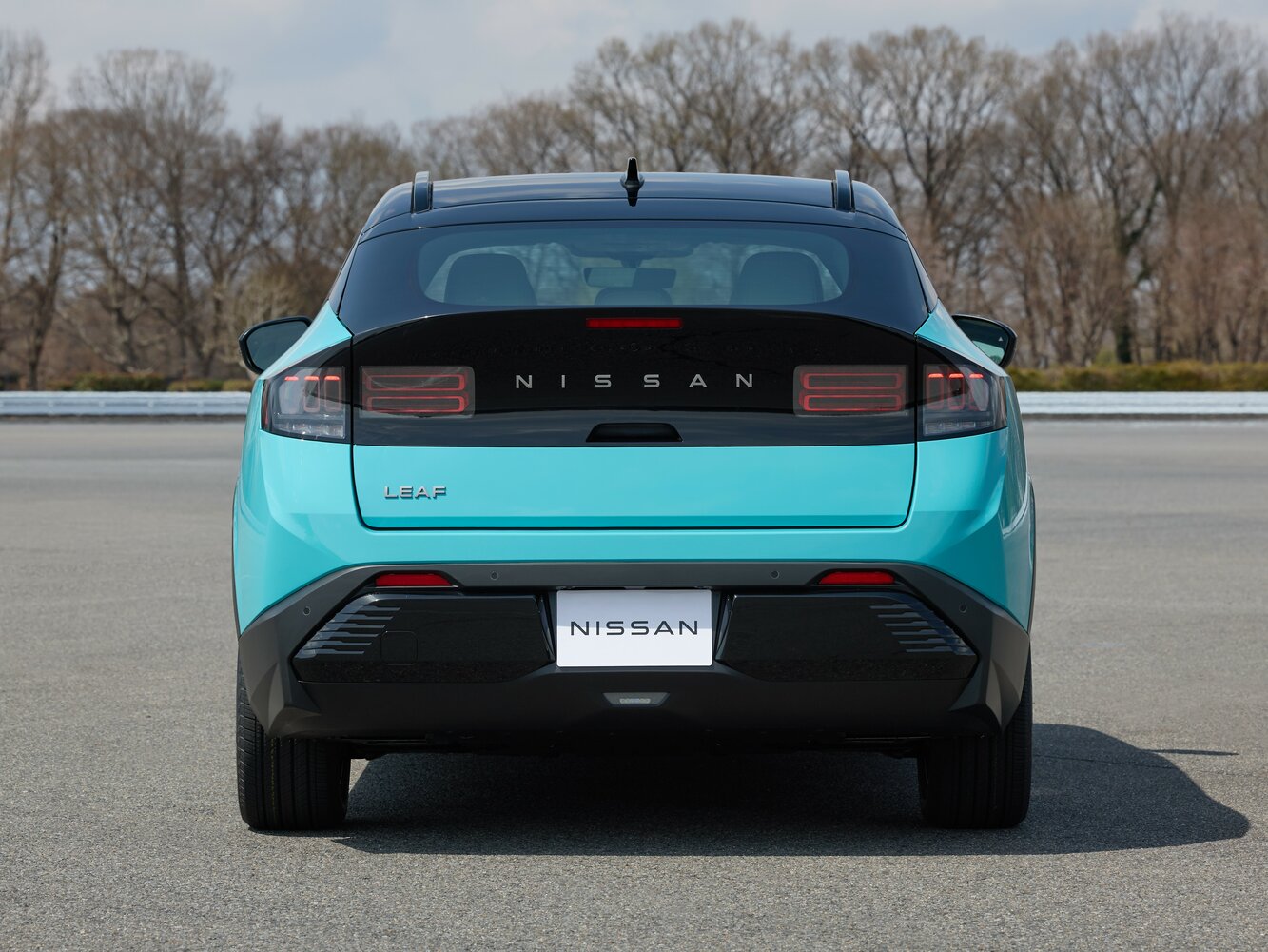 Nissan Leaf e+ G