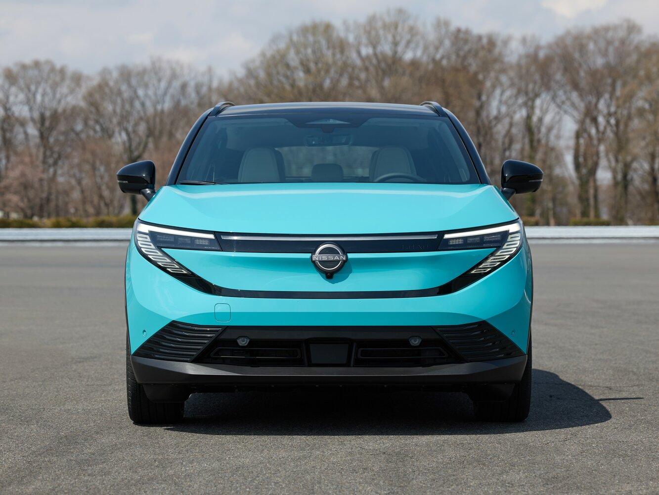 Nissan Leaf e+ G
