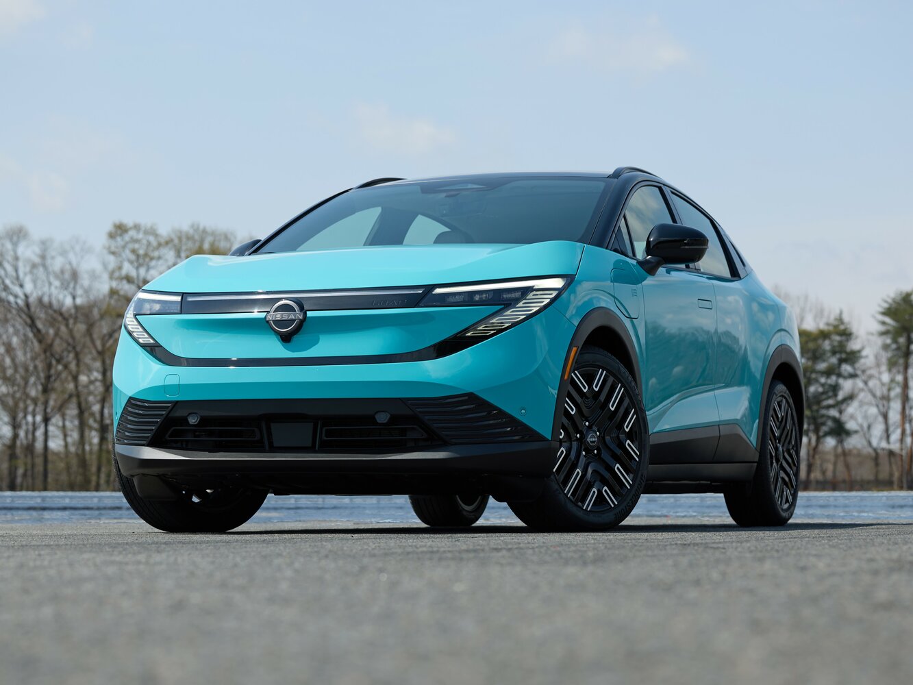 Nissan Leaf e+ G