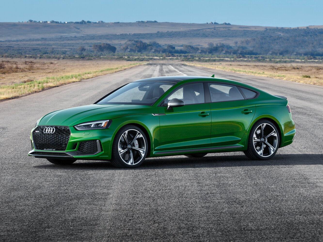 Audi RS 5 II (F5) (2017–2019) · 2.9 AT (450 л.с.) 4WD