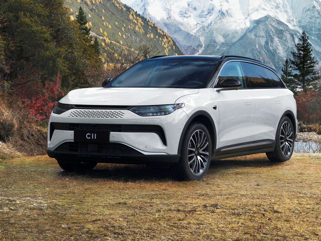 Leapmotor C11 I (2021–2026) · 43 kWh 1.5hyb AT (272 л.с.)