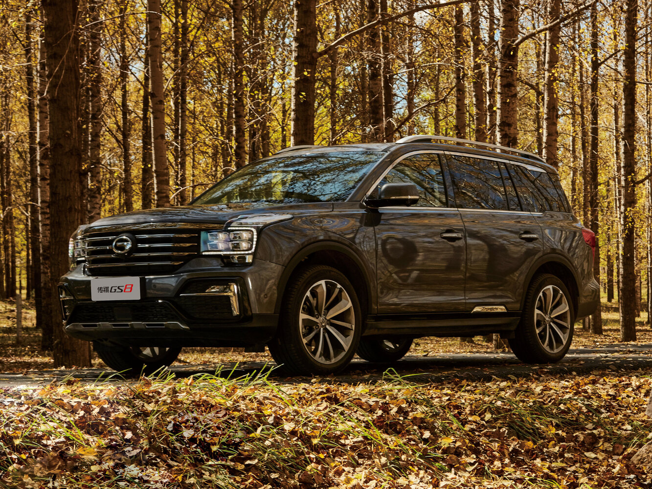 GAC Trumpchi GS8 I Рестайлинг (2019–2021) · 2.0 AT (252 л.с.)