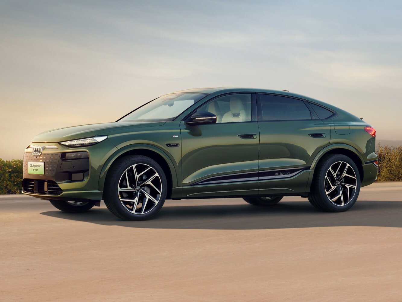 Q6L Sportback e-tron Electro AT (205.0 кВт)